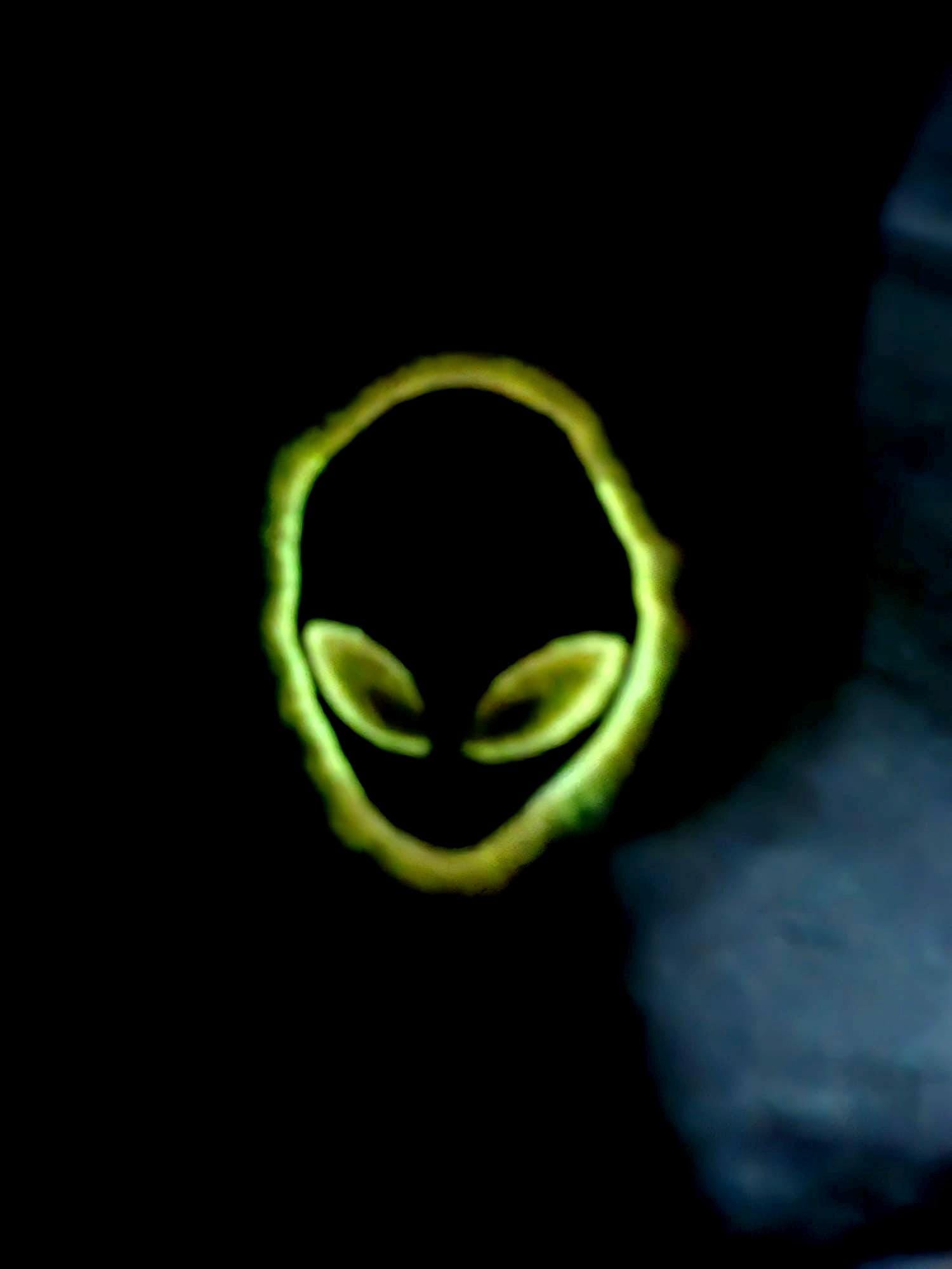 Glow in the dark neon alien embroidered small chest logo size Sweater