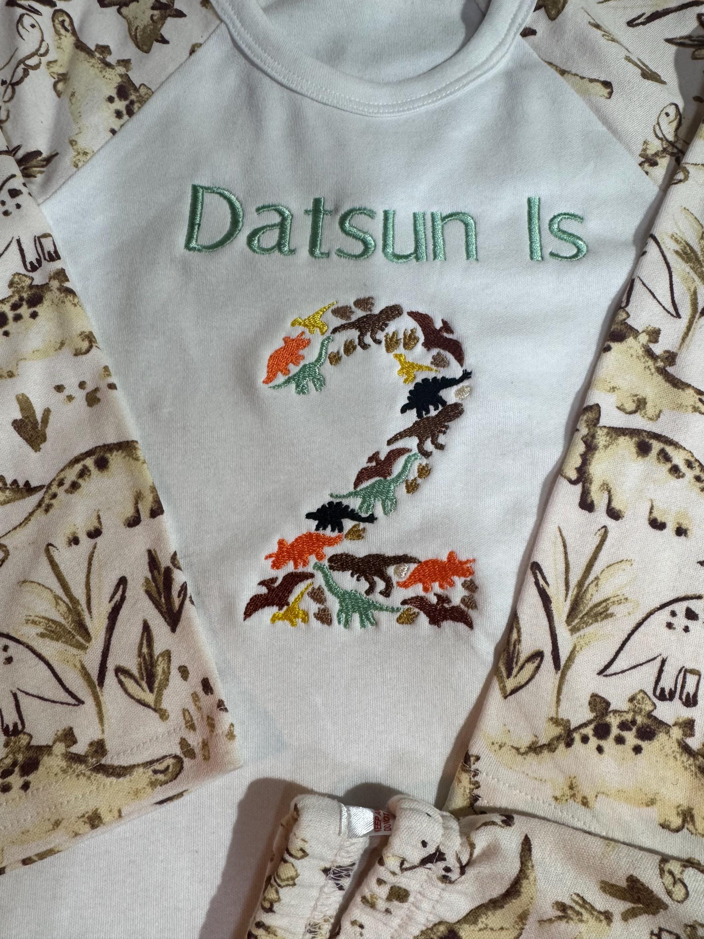 Personalised embroidered birthday dinosaur pyjamas children 1,2,3,4,5,6,7,8